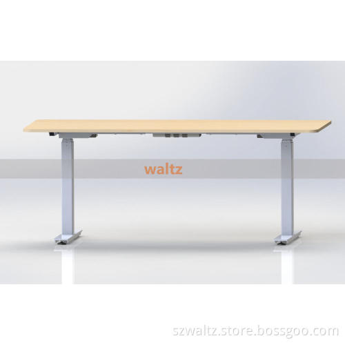 WA6 Stand up desk two motor